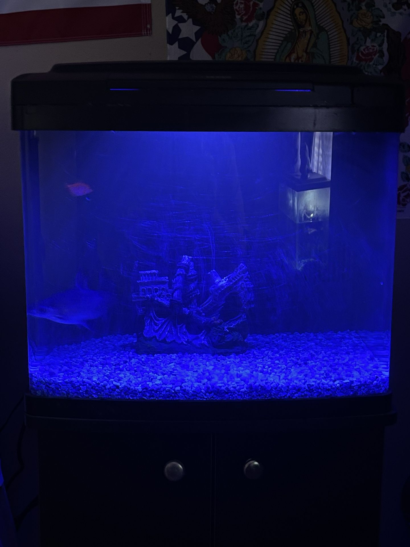 Fish Tank Aquarium Fresh Or Saltwater