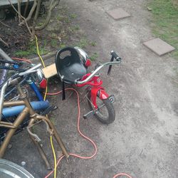 Schwinn Roadster Toddler Trike 