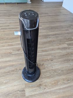 Fan