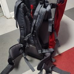 Phil And Ted's Child Carrier Backpack
