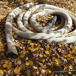 Drainage pipe
