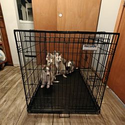 xl dog cage