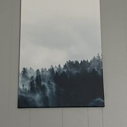 Canvas Art