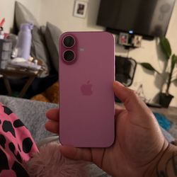 iPhone 16 Purple 