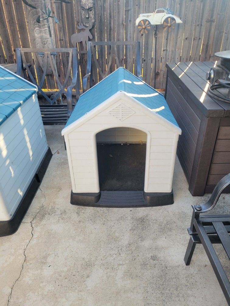 Dog House