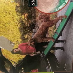 Pet ramp