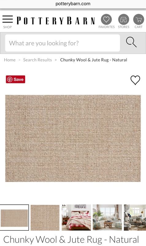 Pottery Barn 9x12 Rug - Chunky Wool and Jute Rug (Natural)