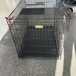 Large 2 Door Dog Crate