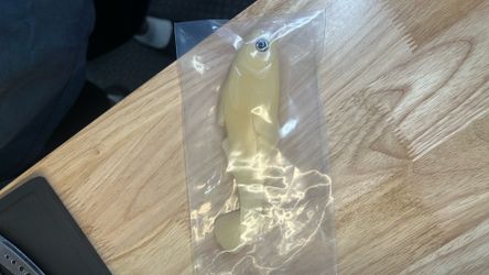 Bone color swim bait