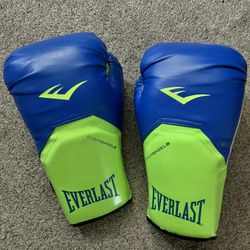 Everlast Boxing Gloves 