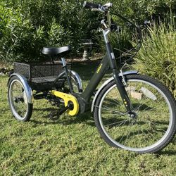 IZip Electric Bike