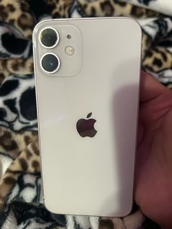 iPhone 12 mini /white