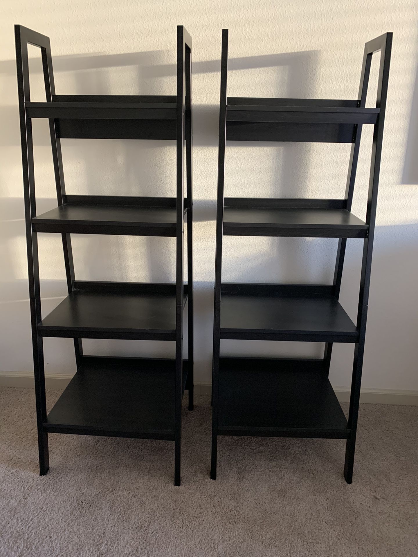 2 Black Ladder Bookshelves