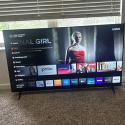 VIZIO 65 inch tv 