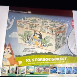 XL Storage Box Set 