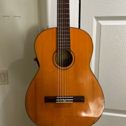 Guitar