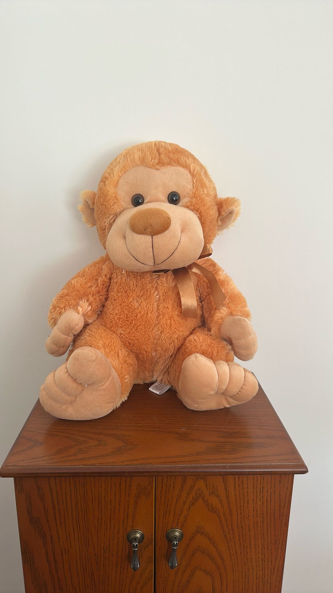 Monkey Teddy