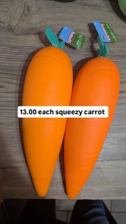 Squeezy carrot squishy
