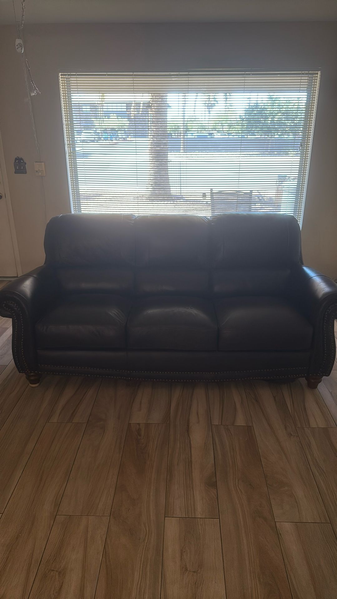 Brown Leather Couch