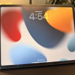 iPad Pro 12.9 (6th Gen -M2 Chip)