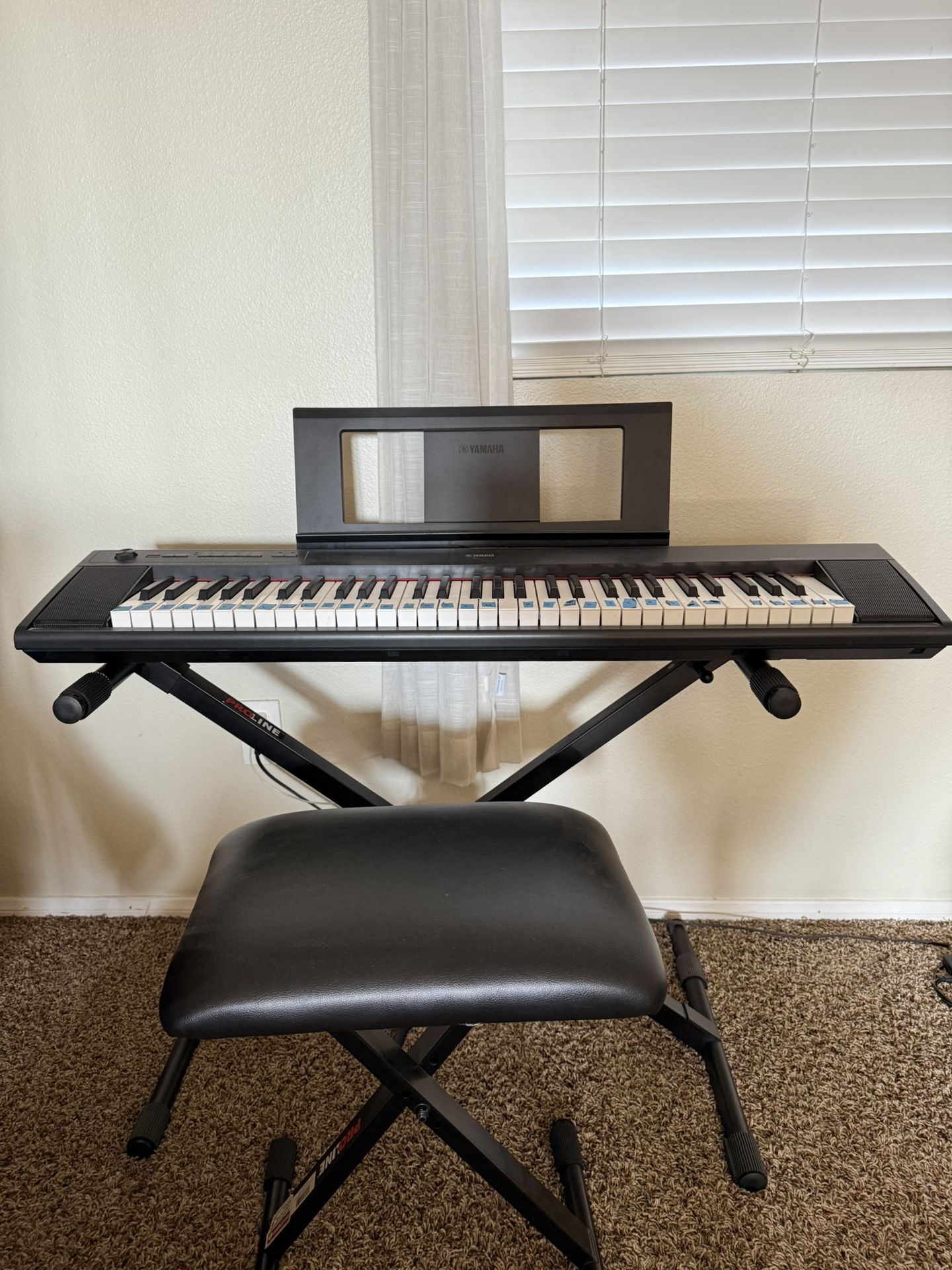 Yamaha Piagerro NP-12 Portable Keyboard