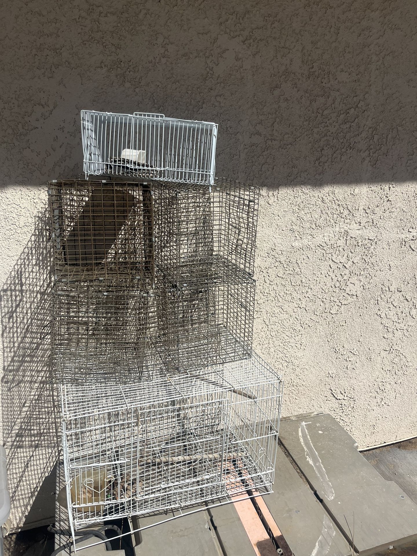 Bird cages different size
