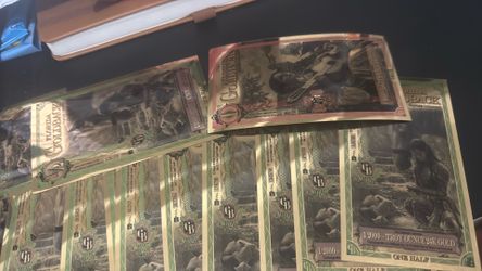 Florida Gold backs lot