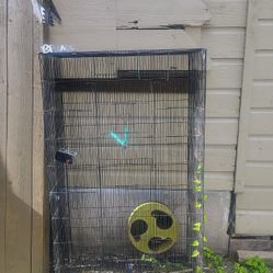 4dog cages and huge bird cage