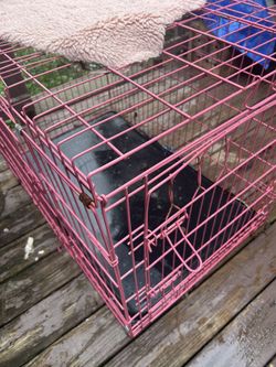 XXL Dog Crate Pink