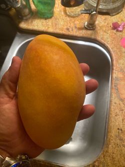 Award-winning Mangos