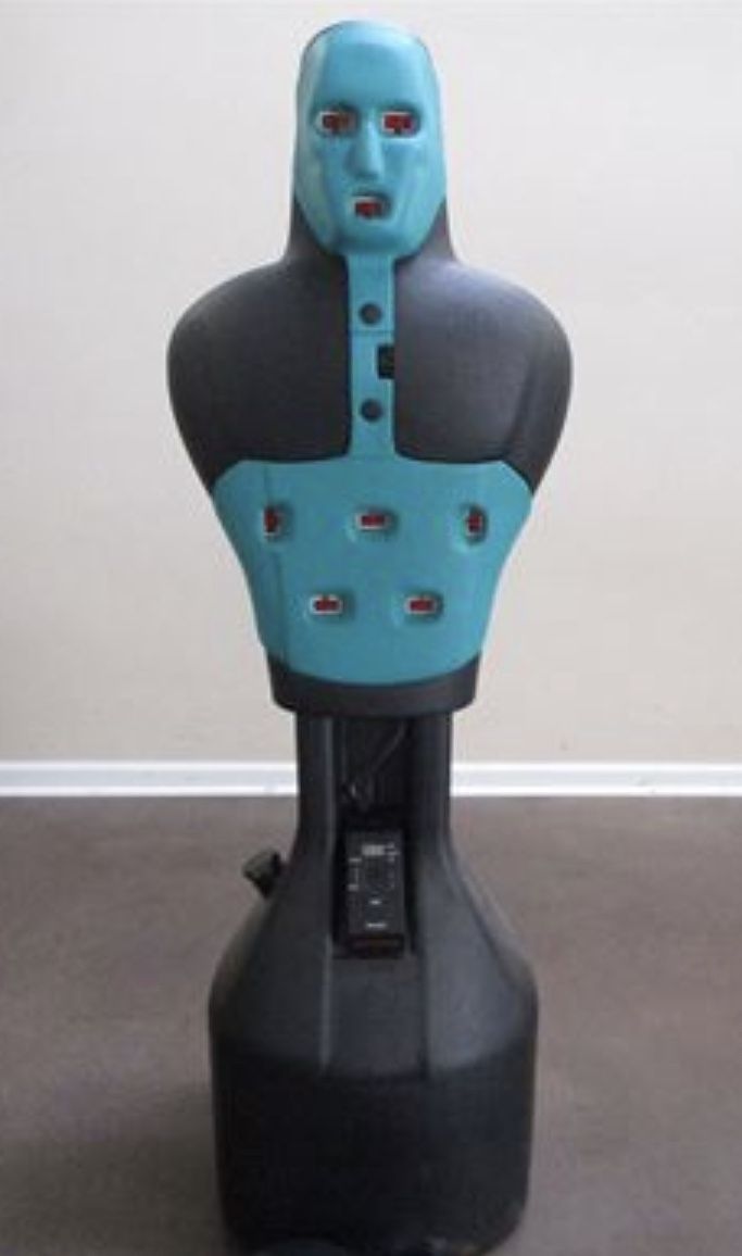 Punching Sparring Partner Lights Up Works