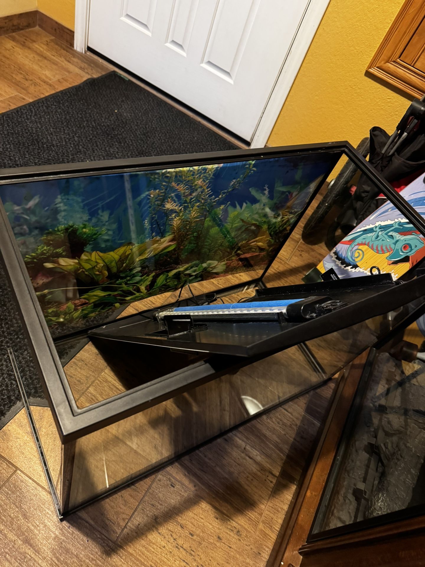 37 Gallon Tank