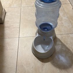 Cat Water Fountain