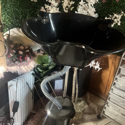 Portable Hair Washer 