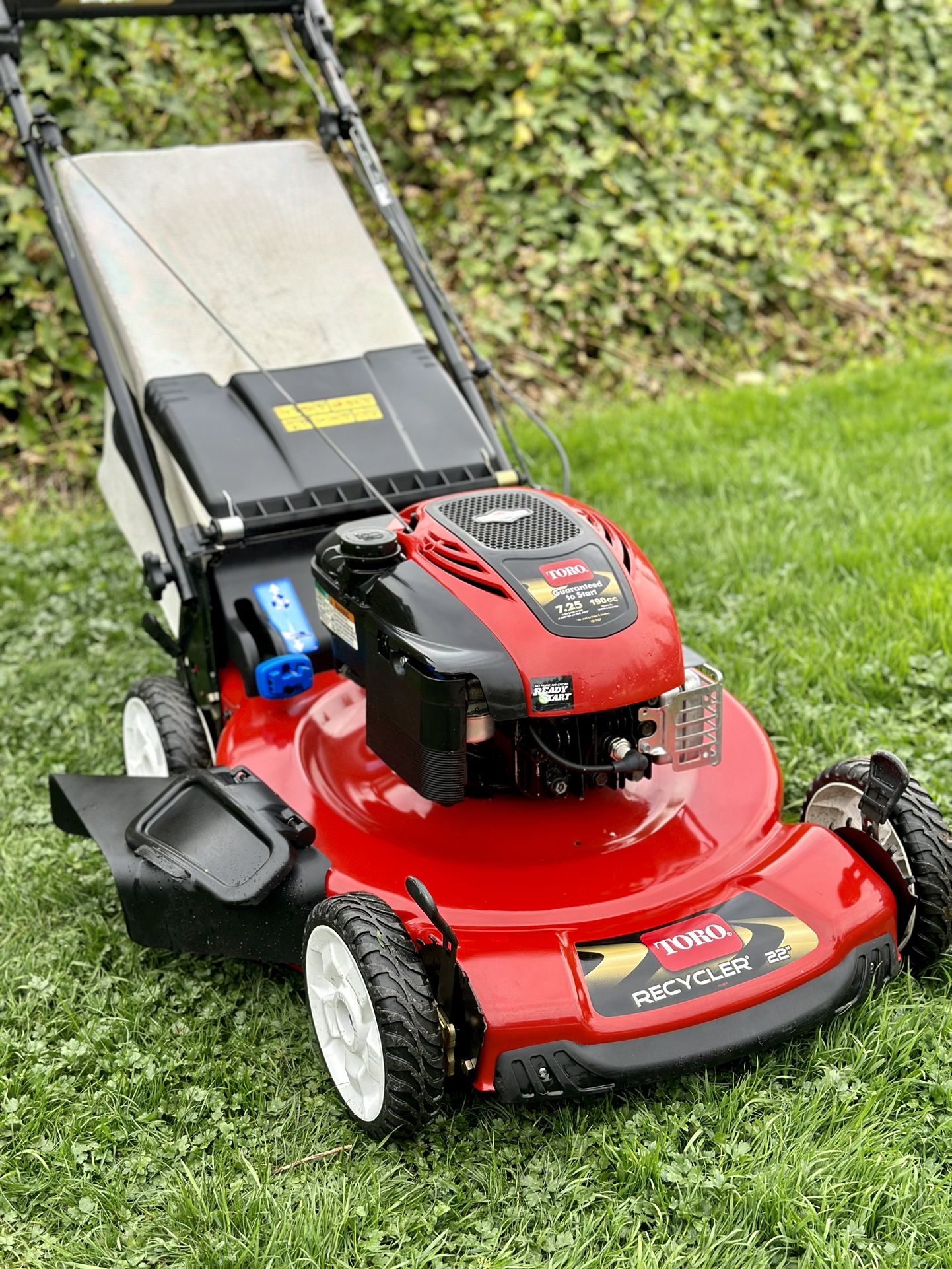 Toro Recycler 22 7.25HP Rear Drive Self Propelled Lawnmower for
