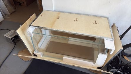 Glass terrarium