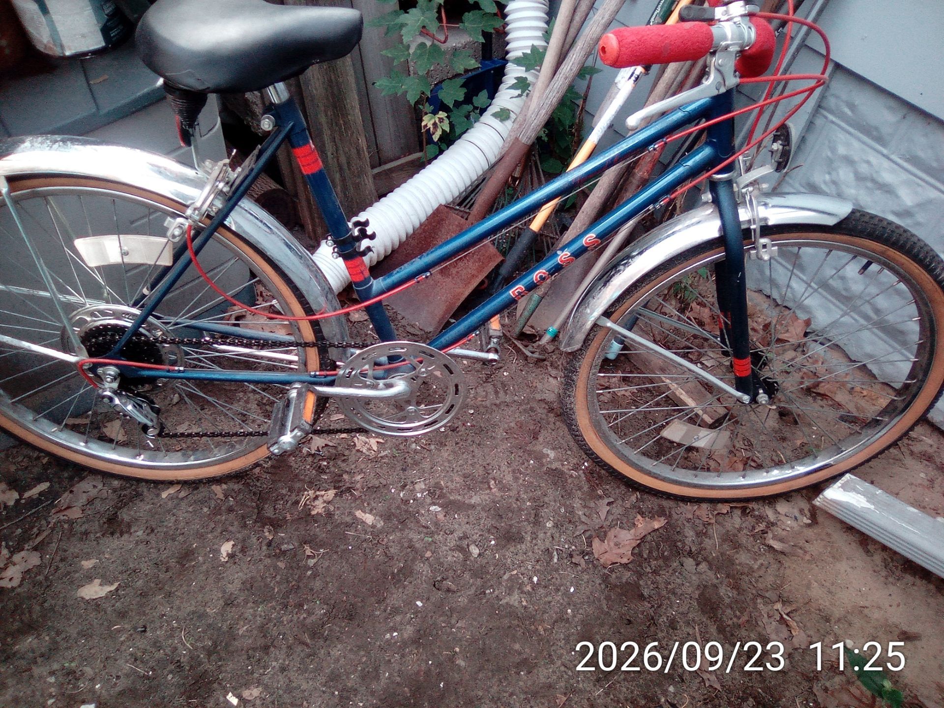 Image #1