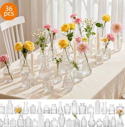 36 Bud glass vases