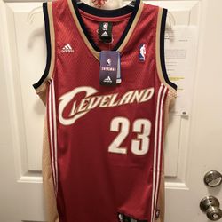 Lebron James Jersey