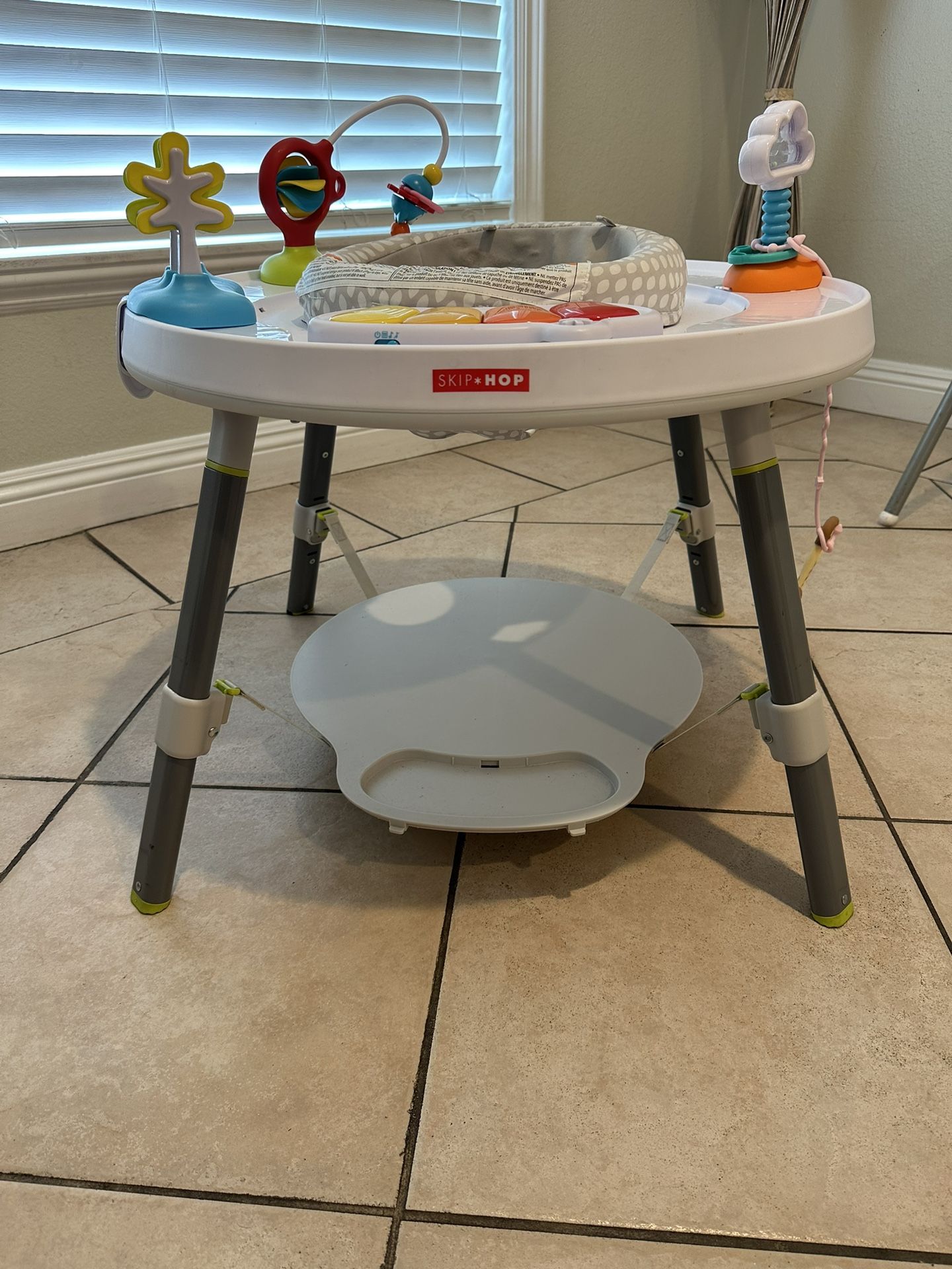 Skip Hop Excersaucer