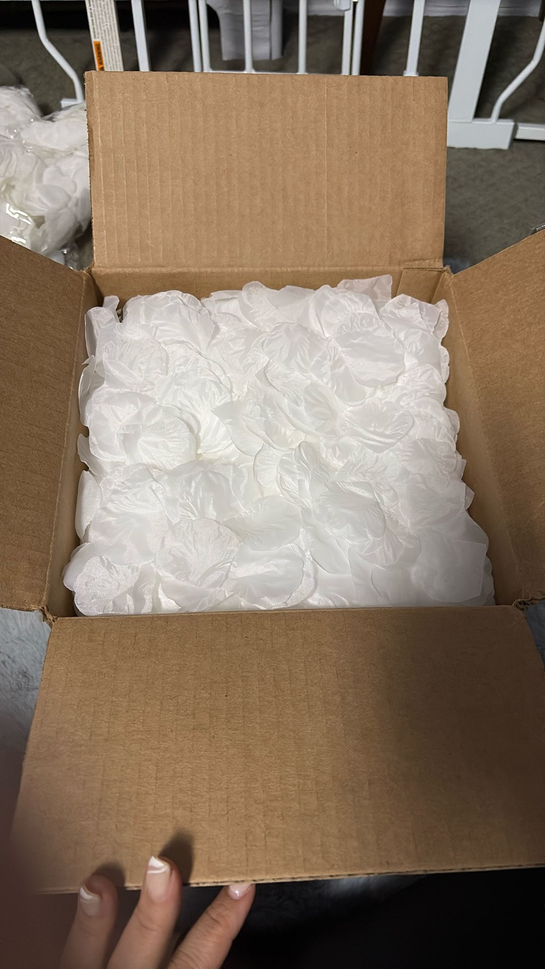 Box Of Loose White Rose Petals