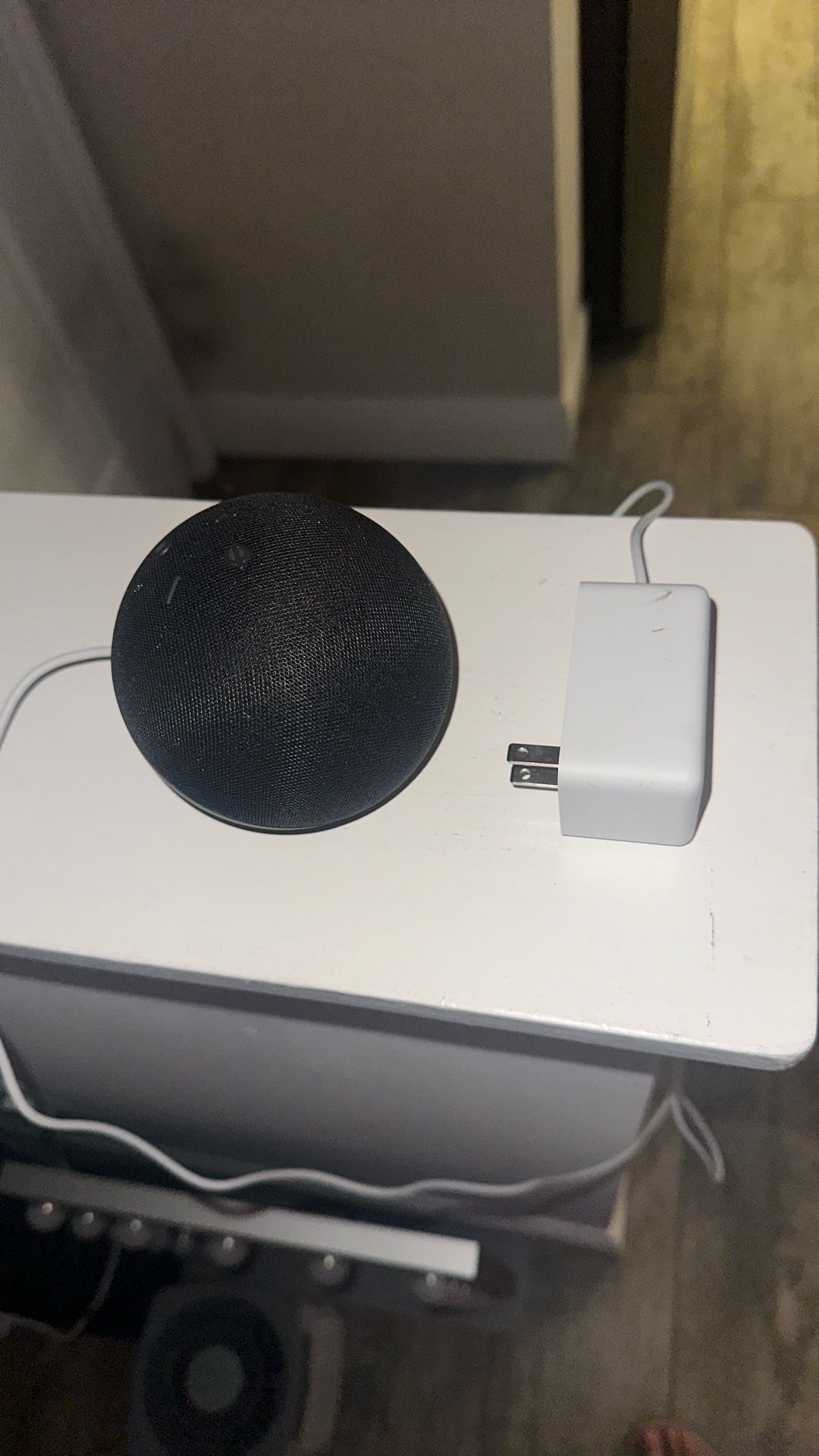 Alexa Speaker