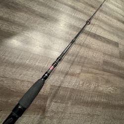 Penn Carnage Inshore Series 7’ 8-15 Fast Action Like New Fishing Rod. 