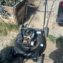 Lawn Mowers Not Needed