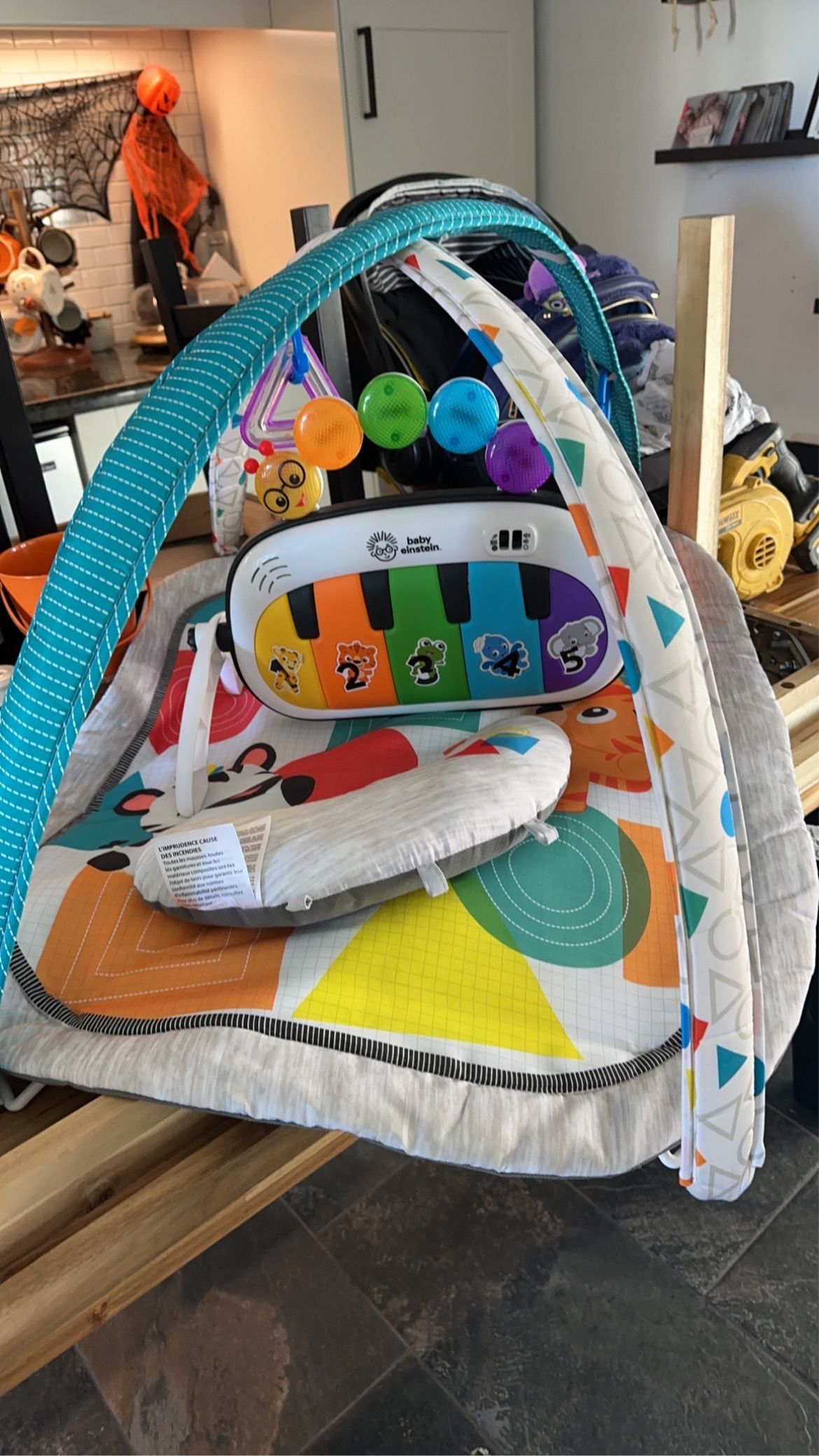 Baby Einstein Kicker