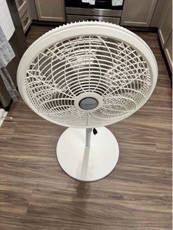Lasko Fan with Timer, 3-speed Fan, and Rotation