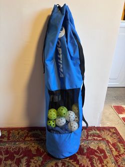 Pickleball net portable in a carry bag
