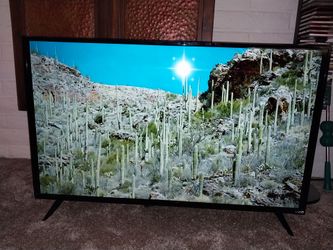 Vizio 48" smart tv