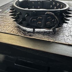 Spike Collar - Heavy Duty - Medium Or Large Dog