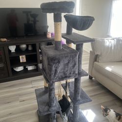 Cat Tree